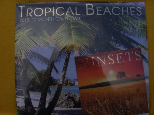 2015 Tropical Beaches Wall Calendar+ BONUS Mini Calendar