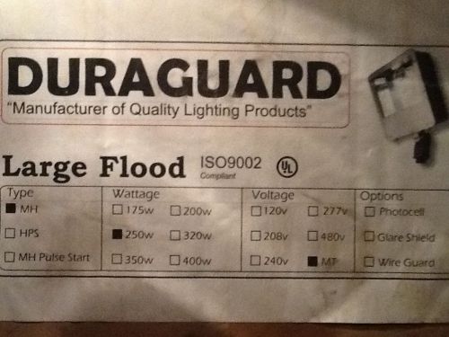 Duraguard 250w Heavy Duty Metal Halide Large Flood Lights with Poles