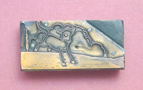Fawn Romping Around in Field Young Deer Image Letterpress Printing Print Block