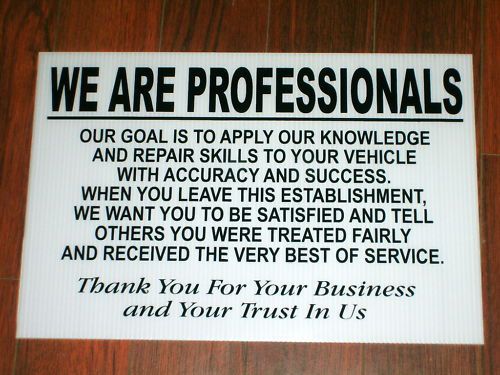 Auto repair shop sign: we are professionals for sale