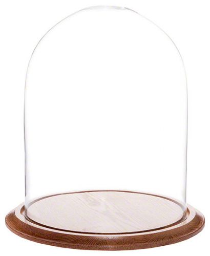 Glass Doll Dome with Oak Base - 12&#034; x 15&#034;
