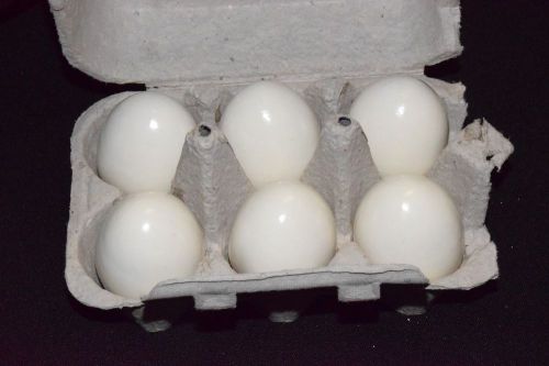 6 White Fake False Artificial Ceramic CHICKEN EGG Decoy Bird Training Decoration