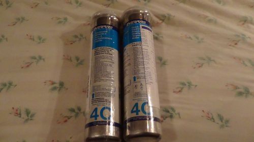 Everpure Water Filter 4C EV9601-00 2 each