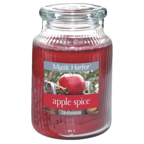 Large Apple Spice Candle 1170812 Pack of 6