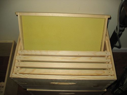 Honey Bee Deep 10 Frame Wood assembled w/ Plastic foundations and wood frames