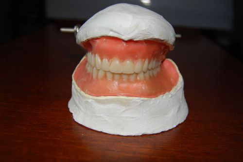 Rare weird looking denture maybe a  Dentoform
