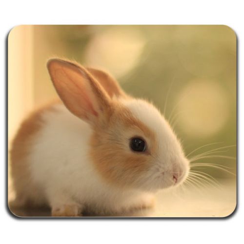 Cute Rabbit Fluffy Adorable Little Home Pet Cool Computer Mouse Pad Washable Mat