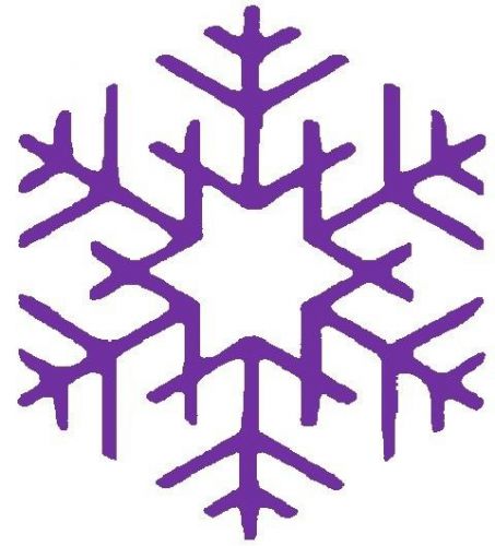 30 Custom Purple Star Snow Flake Personalized Address Labels