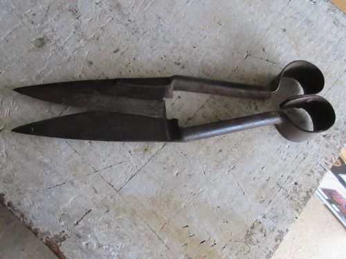 Vintage Sheep Shears High Speed Alloy Steel    Lot 15-51-0