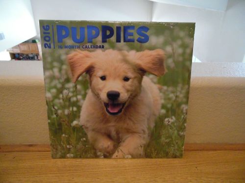 2016 11.5&#034; X 12&#034; PUPPIES 16 MONTH WALL CALENDAR NEW IN THE WRAPPER