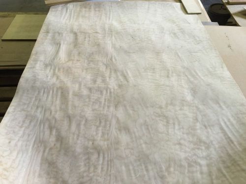 Wood Veneer Quilted Maple 48x65 1 Piece 10Mil Paper Backed &#034;EXOTIC&#034; 0917 5 Lok