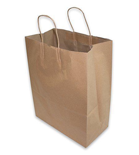 2dayShip Paper Retail Shopping Bags with Rope Handles 13 x 7 x 17 inches, 25