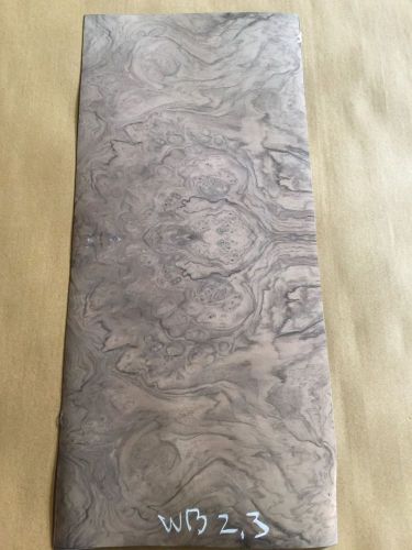 Wood Veneer Walnut Burl 10x22 1 Pc 10Mil Paper Backed &#034;EXOTIC&#034; WB 2.3