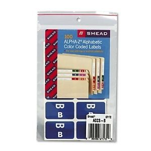 Smead Alpha-Z Color-Coded Letter Labels - SMD67172 Letter B