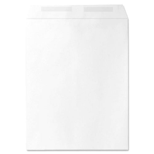 Sparco Catalog Envelope, Plain, 28lbs., 10 x 13 Inches, 250 per Box, White(SPR09