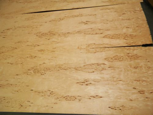 Karelian birch raw wood veneer 6.5 x 43 inches, 1/42nd thick Exotic    2430