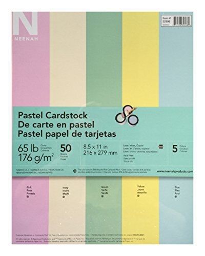 Neenah 65 lb 8.5X11 Pastel Cardstock