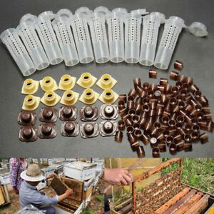 10X Beekeeping Rearing Cup Kit Queen Bee Cages Beekeeper Tool &amp; 100x Cell C YV7