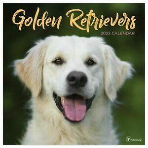 TF Publishing Golden Retrievers 2022 Wall Calendar w