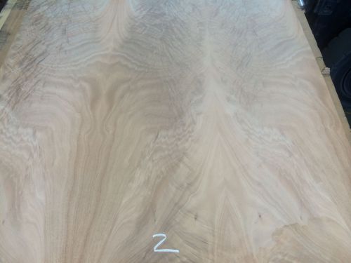 Wood veneer crotch okoume 48x48 1pcs total 20mil paper backed &#034;exotic&#034; crlm2 for sale
