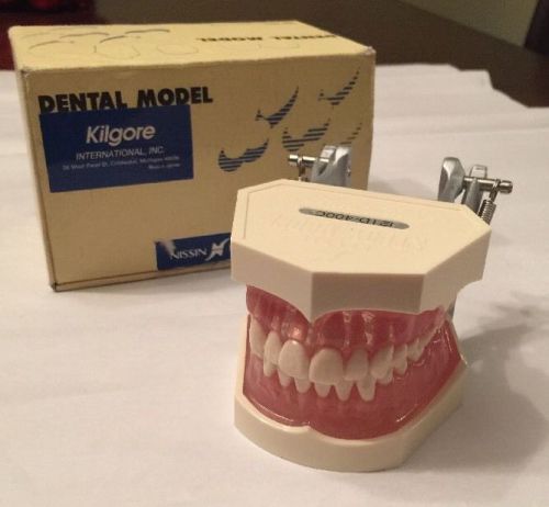 Kilgore Dental Model Typodont 121D-400C