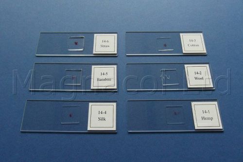 Microscope Slides: Prepared Slides - Various Fibres