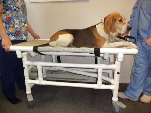Small animal veterinary folding, height adjustable, transport &amp; stretcher system for sale