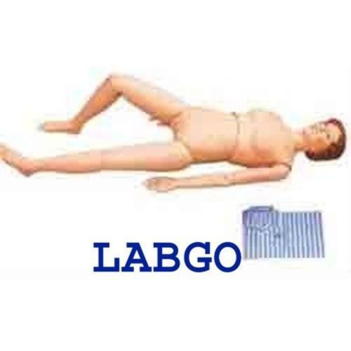 Nursing manikin anatomical human model education labgo for sale