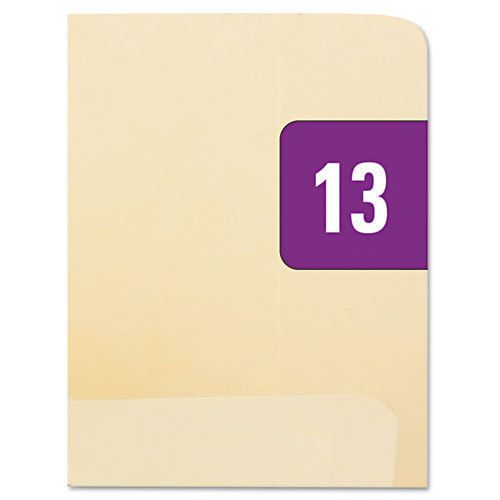 Smead Year 2013 End Tab Folder Labels, 1/2 x 1, Purple/White, 2 Packs of 250