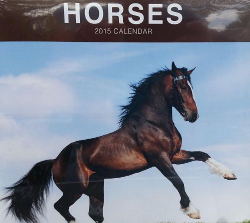 2015 HORSES Wall Calendar NEW &amp; SEALED Outdoor Nature Animals Pony