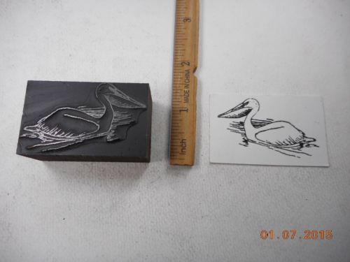 Letterpress Printing Printers Block, Pelican Water Bird