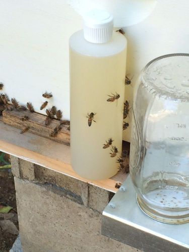 Honey Bee Healthy (Bee Feed Stimulant) Beekeeping,Essential Oils,Beekeeper
