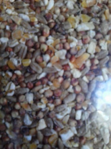 MULTI GRAIN FEED 5+lbs. FOR CHICKENS, DUCKS,GEESE