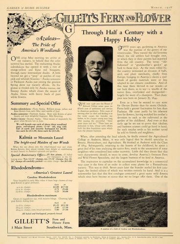 1928 ad gilletts fern flower farm azaleas field nursery - original ghb1 for sale