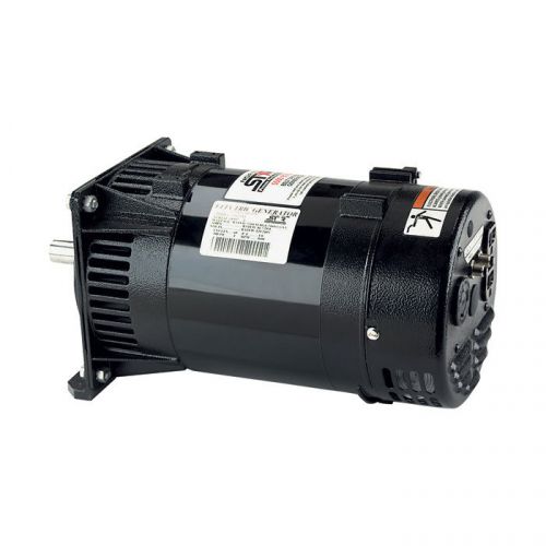 Northstar belt driven generator head-5500w #165913a for sale
