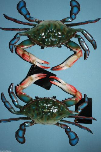 (3), BLUE CRAB, 9&#034;-10&#034;,DISPLAY CRABS FOR A SEAFOOD RESTAURANT,CRABS,DECOR #XX