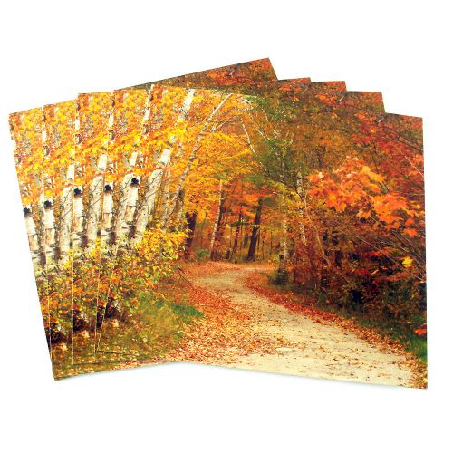 Set of 12” Fall Leaves Display Cube Frame Panel Picture Insert Decoration 33582