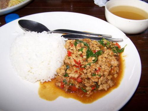 Thai Food Basil with Minced Pork Spicy Recipe Dinner Pad Kra Prao Popular Shop