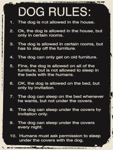 Dog Rules Life Lessons Pet Owner Humor Metal Sign