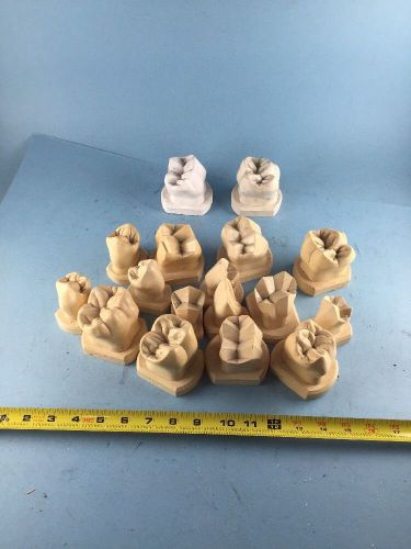 Lot Of Large Tooth Models Ness Tooth. Productivity Training Corp