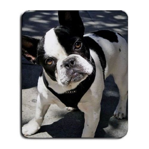 Cute French Bulldog Puppy Puppies Dogs Pets Animal Large Mousepad Mouse Pad
