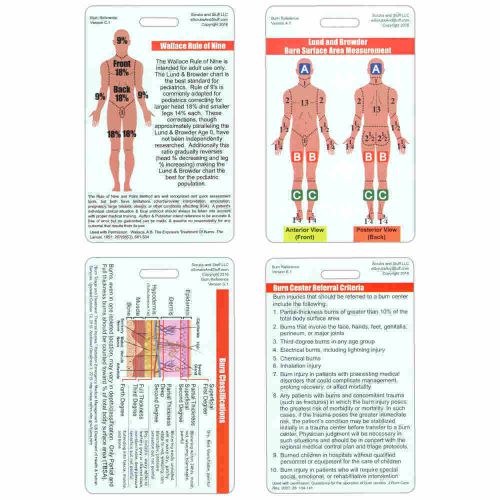 Mini Burn Set Vertical Badge Cards - 4 cards - Nurse Paramedic EMT RN EMS Medic