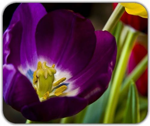 New Bloom Deep Purple Fresh Flower Lovely Mouse Pad Mats Mousepad Hot Gift