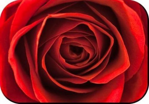 New RED ROSE Mouse Pad Mats Mousepad Hot Gift 2