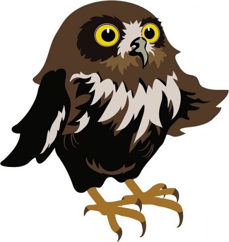 30 Custom Baby Owl Personalized Address Labels