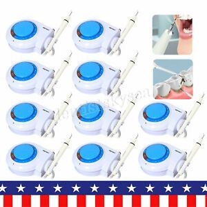 10*Dental Ultrasonic Scaler w/ detachable Handpiece Teeth Clean For EMS Cavitron