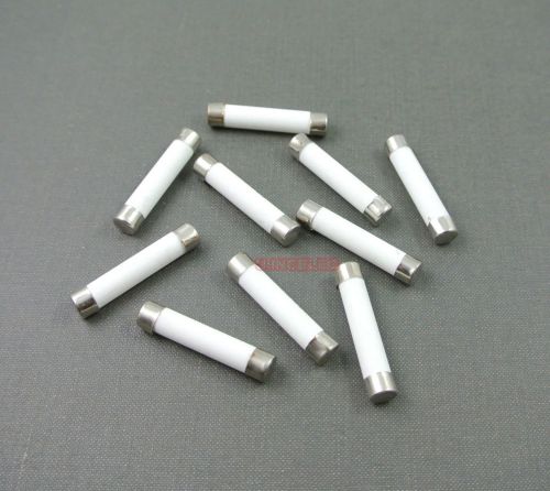 100pcs ceramic tube fuse 25a 250v fast blow type 6x30mm for sale