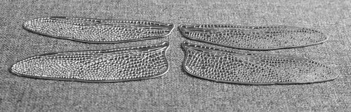 Etched filigree dragonfly or fairy wings german silver 3/4 life size 2&#034; for sale