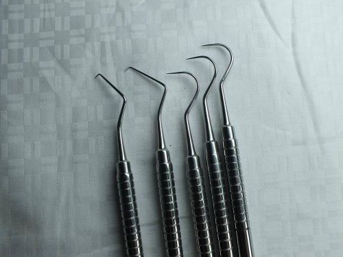 Dental Probes Examination Endodontic  Explorer Set of 5 ADDLER German Stainless