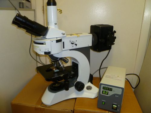 Olympus bx  clone  n-800f trinocular  fluorescence microscope for sale